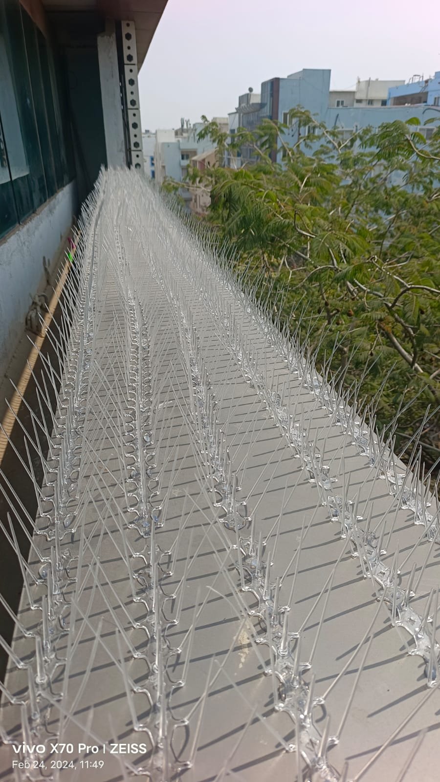 Anti Bird Nets installation work